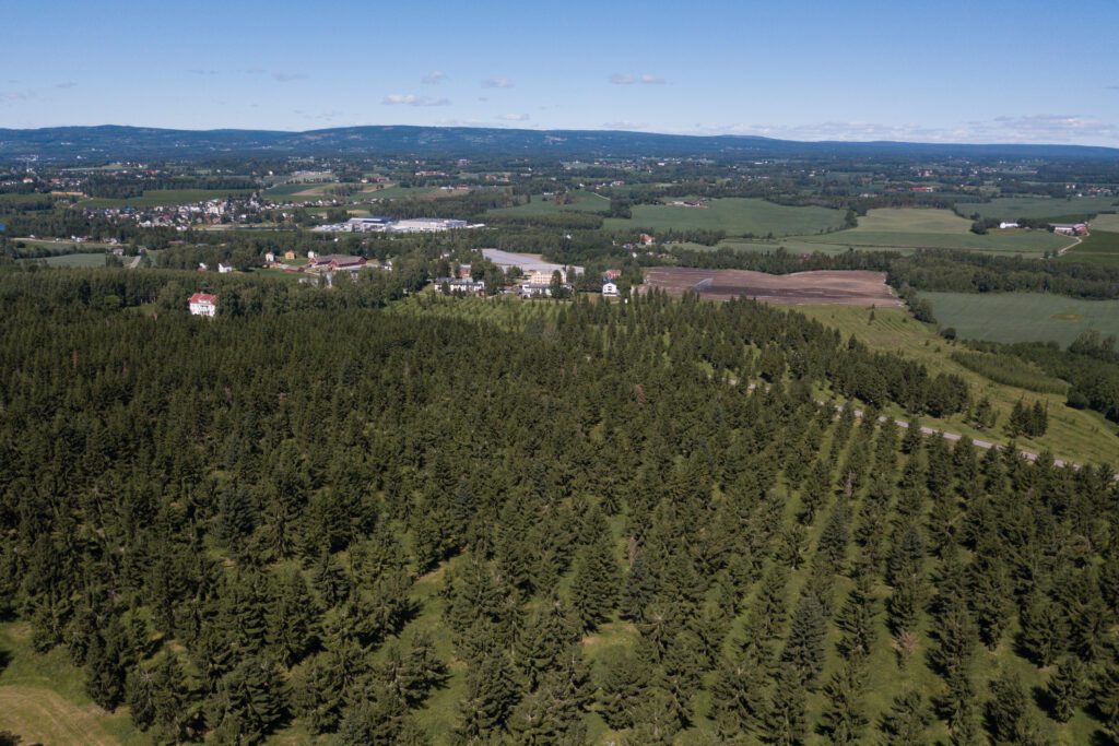 Dronebilde frøplantasje